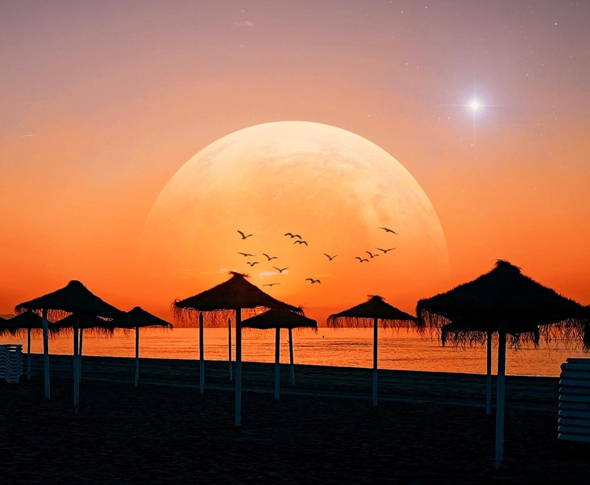 Ubicacion Y Confort En El Centro De Marbella - Ricardo Soriano 33 38 Ngoại thất bức ảnh